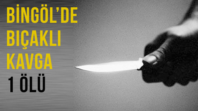 Bingöl`de bıçaklı kavga: 1 ölü