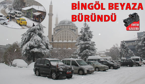 Bingöl`de kar esareti