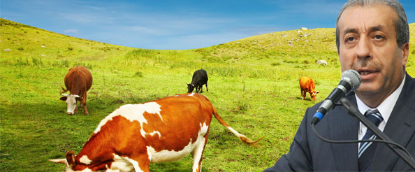 Bingöl`e 102 milyonluk destek