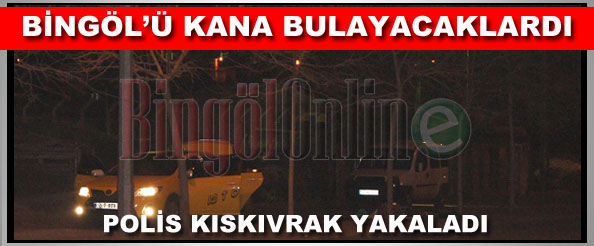Bingöl`ü kana bulayacaklardı