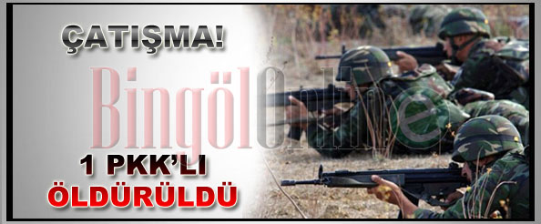 Bir pkk`lı öldürüldü