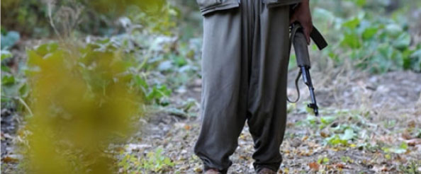 Bir pkk`lı teslim oldu