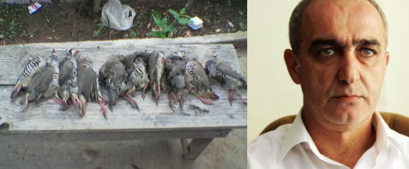 Bunlar avcı değil, canidir!