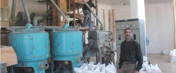 Çevre illere çeltik ihracatı