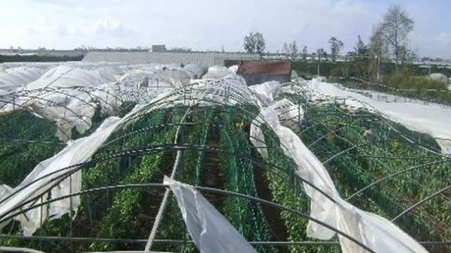 Çiftçilere `soğuk` uyarısı