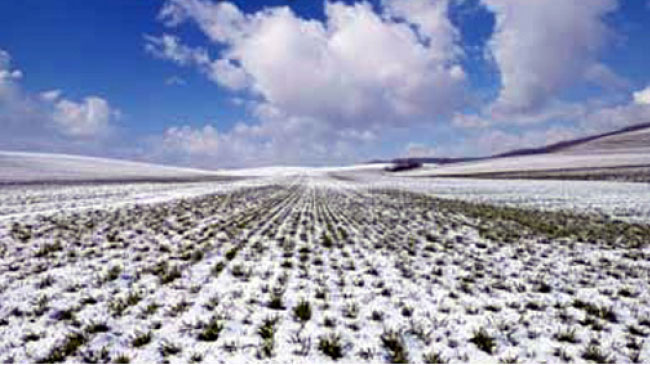Çığ ve kar erimesi uyarısı!