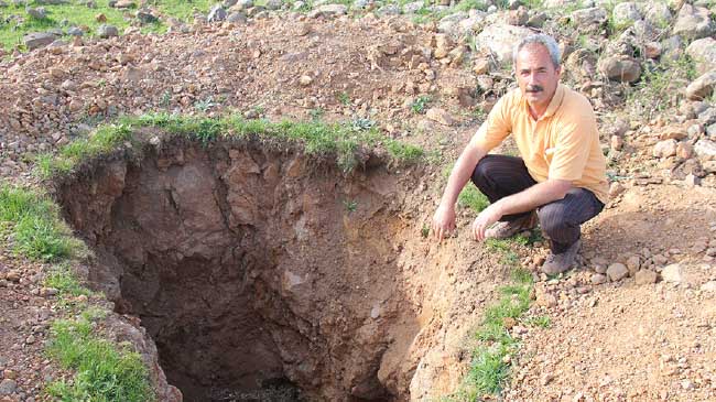 Defineciler talan etti