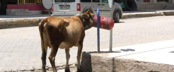 Dikkat edilmezse sorumluluk vatandaşta olacak!