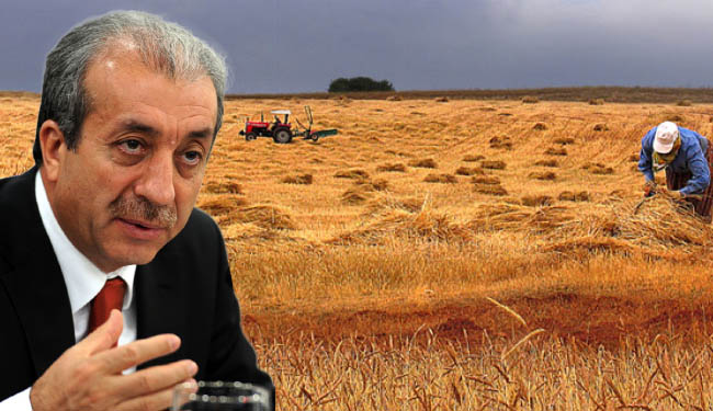 En az destek bingöl`e