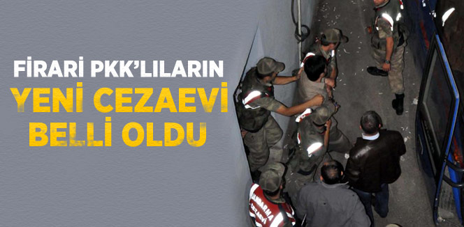 Firari pkk`lılar ankara ve van`a gönderildiler