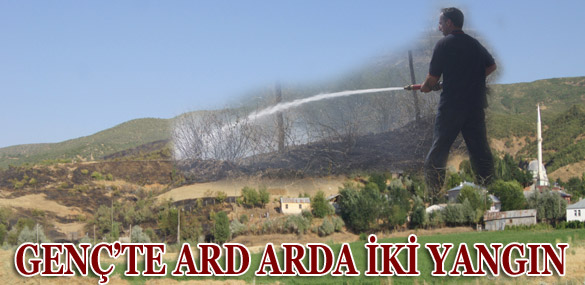 Genç`te ard arda iki yangın