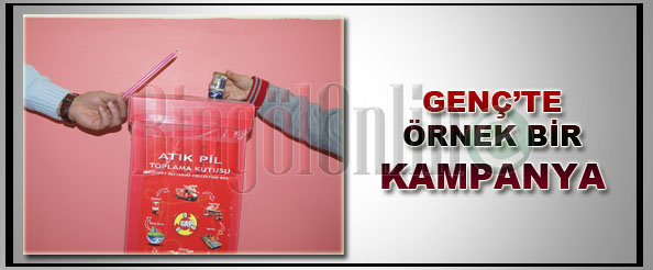 Genç`te örnek bir kampanya