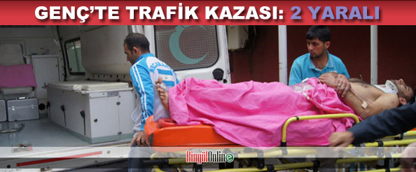 Genç`te trafik kazası: 2 yaralı