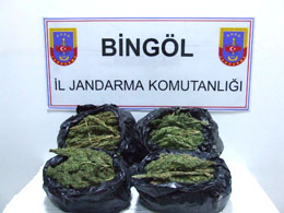 Genç`te uyuşturucu operasyonu