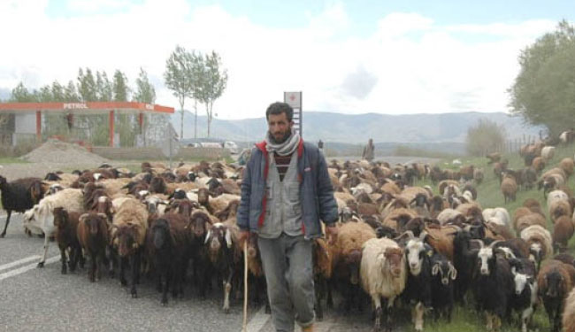 Göçerler dönüş yolunda