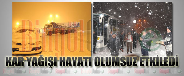 Haftasonu yağan kar hayatı felç etti