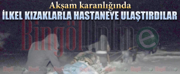 Hastayı kızakla hastaneye ulaştırdılar