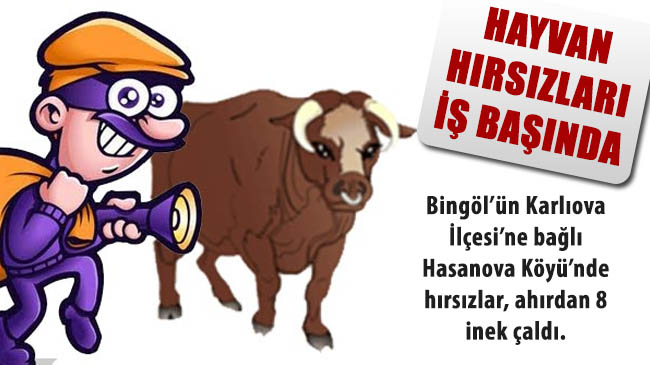 Hayvan hırsızları iş başında
