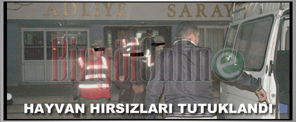 Hayvan hırsızları tutuklandı