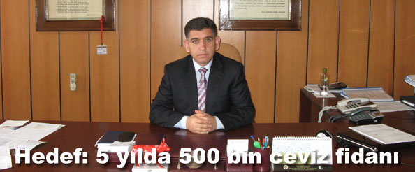 Hedef: 5 yılda 500 bin ceviz fidanı