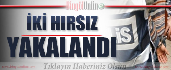 Iki hırsız yakalandı