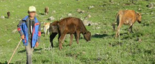 Kaçırılan çoban serbest bırakıldı