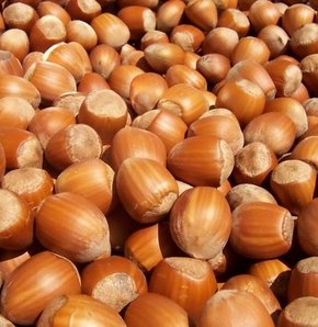 Kanserin savaşçıları besinler