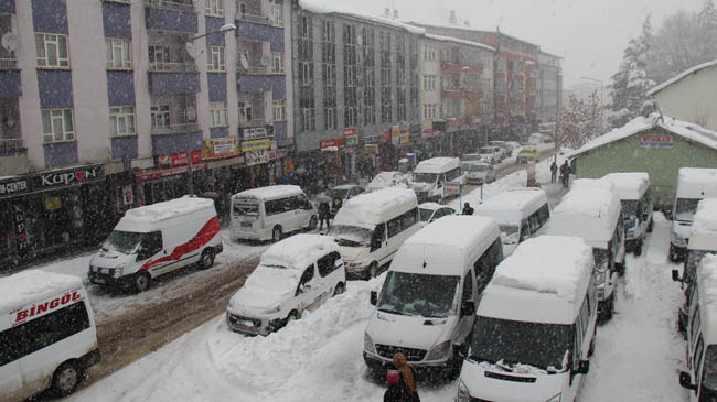 Kar vurdu hayat durdu