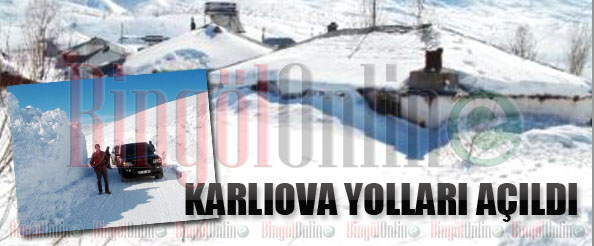 Karlıova`da karın kapattığı yollar açıldı