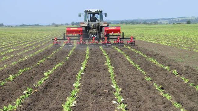 Kky`da yüzde 50 hibe