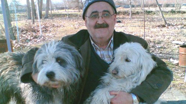 Köpek yüzünden bingöl`e sürdüler