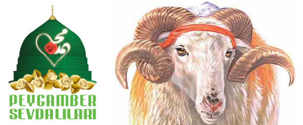 Kurban, malı allah`ın rızası için feda etmektir