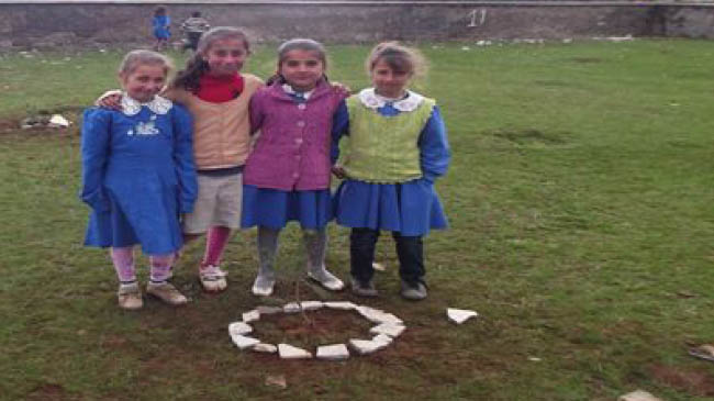 Okul bahçesine 70 fidan dikildi