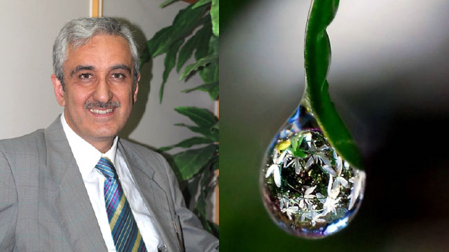 Ölümsüzlük suyu `abı hayat` nedir, nerededir?