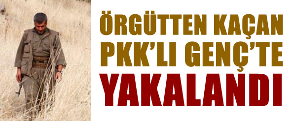 Örgütten kaçan pkk`lı genç`te yakalandı
