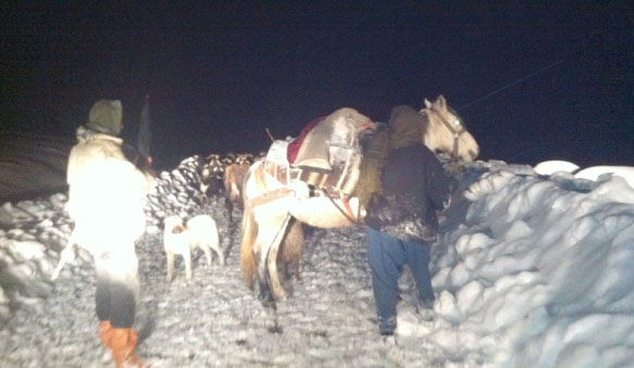 Ortaçanak`ta kar esareti