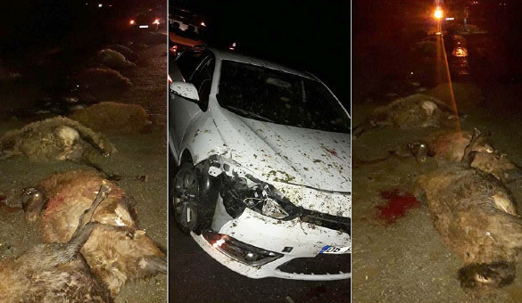 Otomobil sürüye daldı!