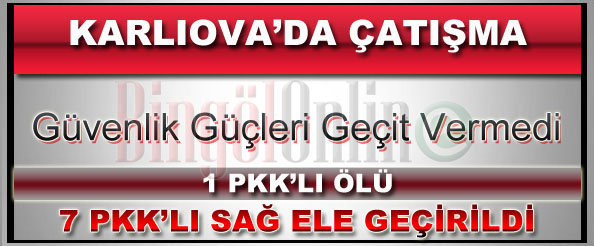 Pkk operasyonu: 1 pkk`lı ölü 7 pkk`lı sağ ele geçirildi