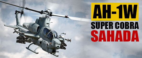 Pkk`ya super cobra`lı müdahale