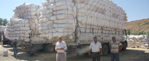 Saman fiyatları kara kara düşündürüyor