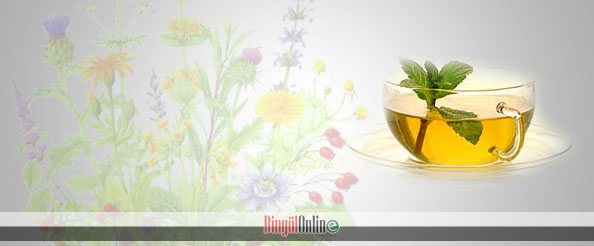 Sonbahar için ilaç gibi çaylar