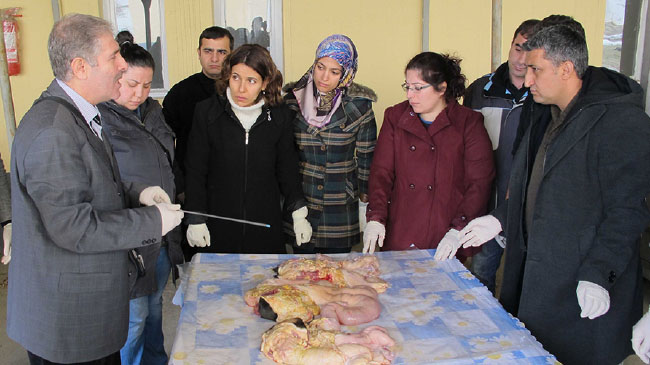 Suni tohumlama kursu başladı