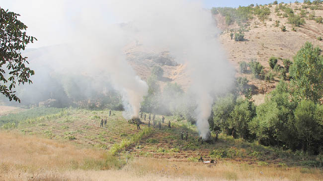 Tacirlere jandarma baskını