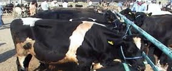 Tarım`dan sevk uyarısı