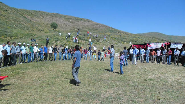 Tek başına festival düzenledi