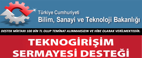 Teknogirişim sermayesi desteği başvuruları başladı