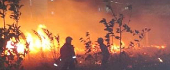 Toki yangını korkuttu