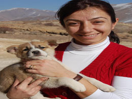 Yavru köpeklere bitlis sahip çıktı