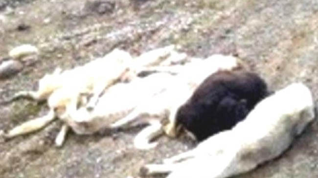 Yayladere belediyesi iddiaları reddetti