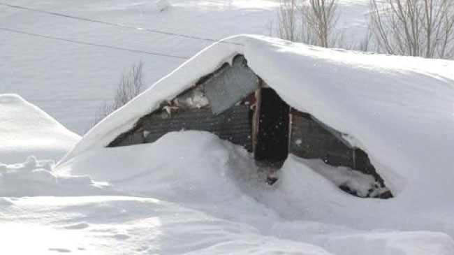 Yoğun kar besicileri vurdu